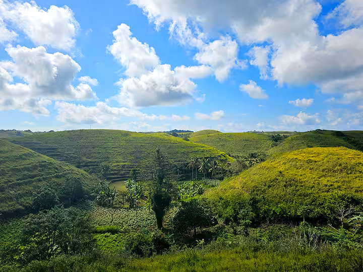 Bukit Teletubies Nusa Penida