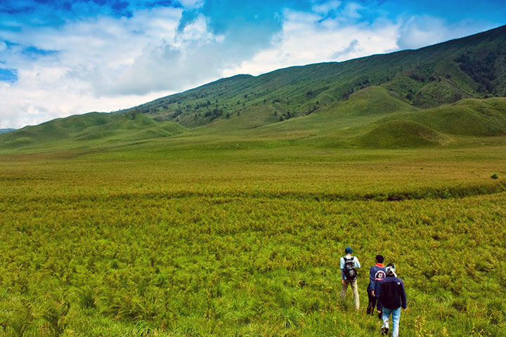 Padang Savana Bromo