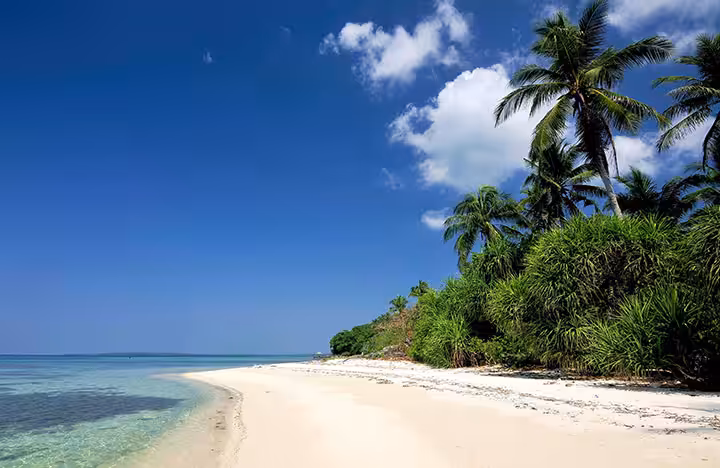 Pulau Cemara Besar Karimunjawa