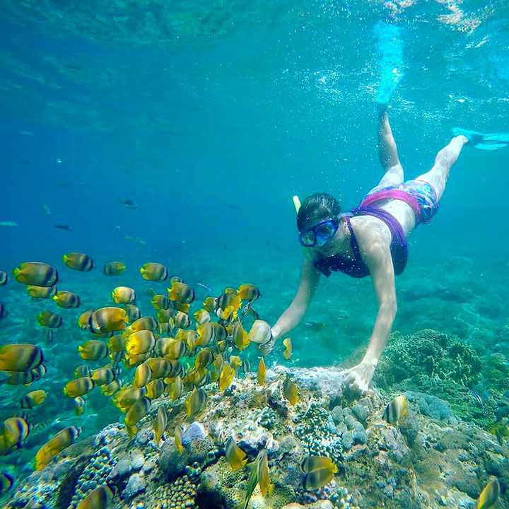 Snorkeling Gamat Bay