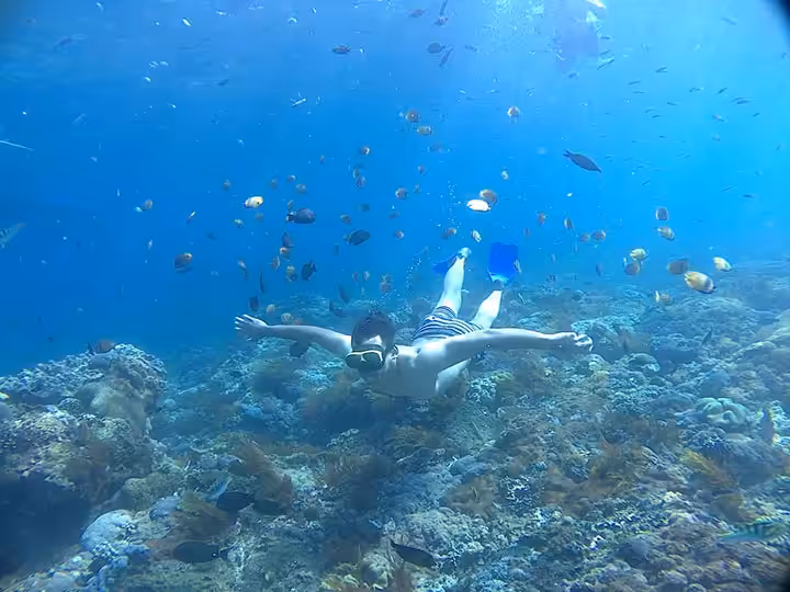Snorkeling Wall Point