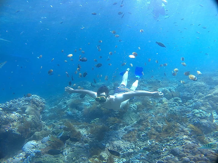 Snorkeling Wall Point