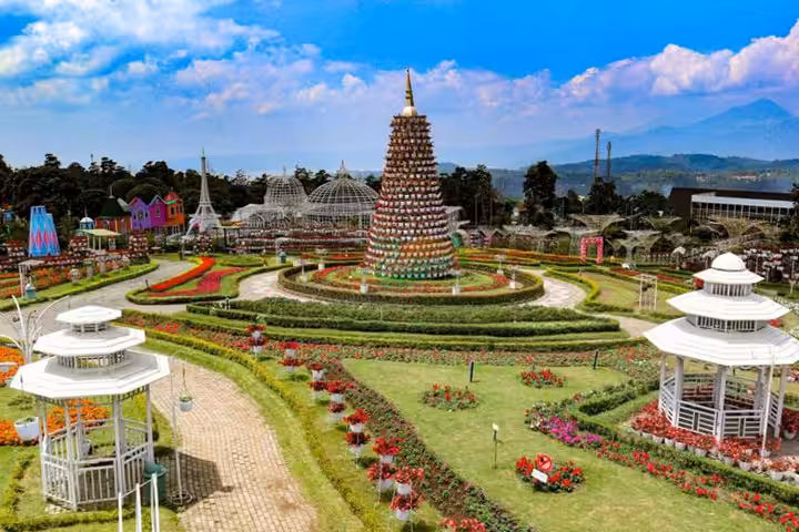 Taman Bunga Celosia Semarang