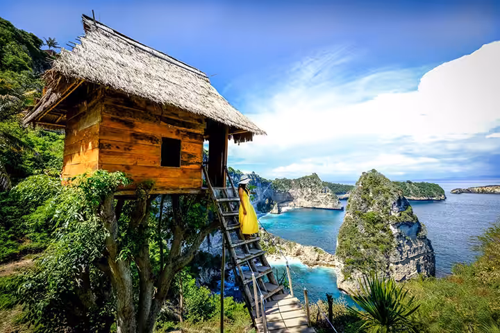 Tree House Nusa Penida