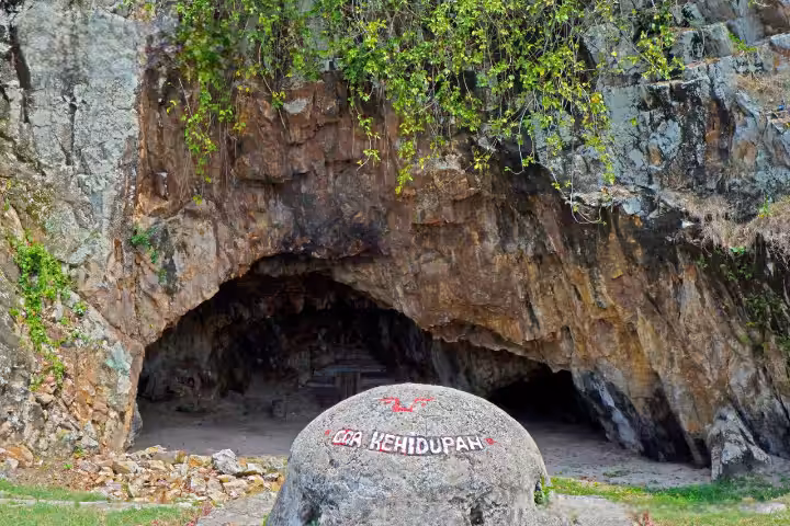 goa kehidupan Pantai Marina Lampung