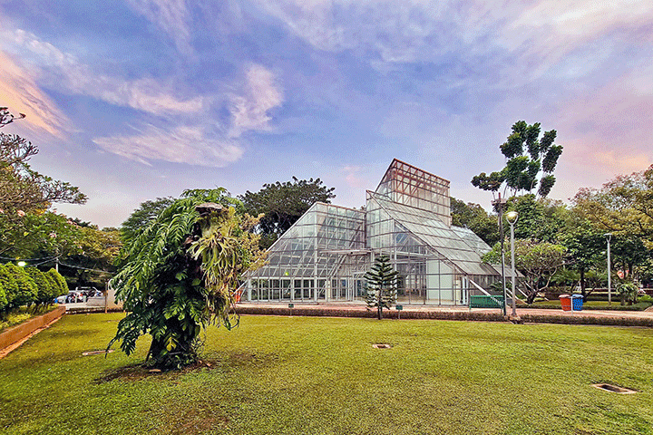 taman menteng taman untuk piknik terdekat