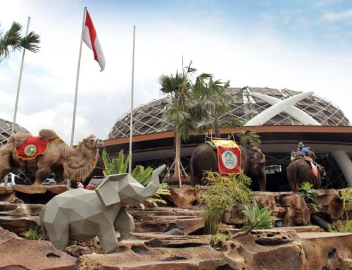 Resort dan Hotel Dekat Taman Safari Bogor