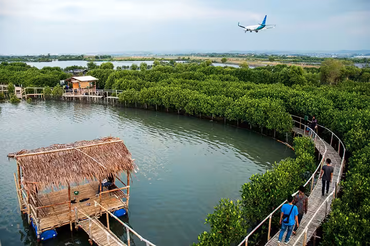 Mangrove EduPark