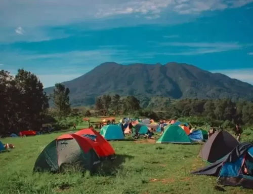 Tempat Camping di Bogor