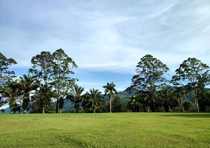 Agro Wisata Gunung Mas Puncak