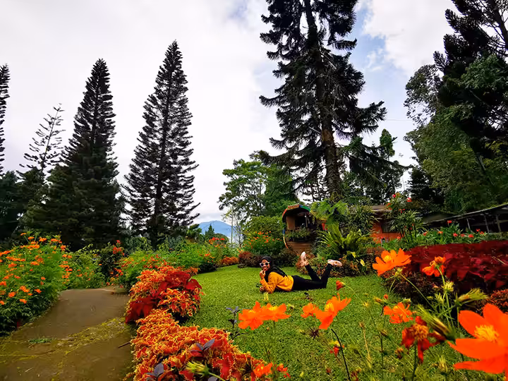 Pinewood Lodge Puncak