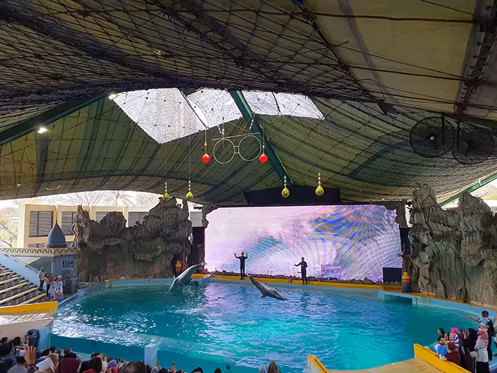 Samudra Dolphin Park Ancol