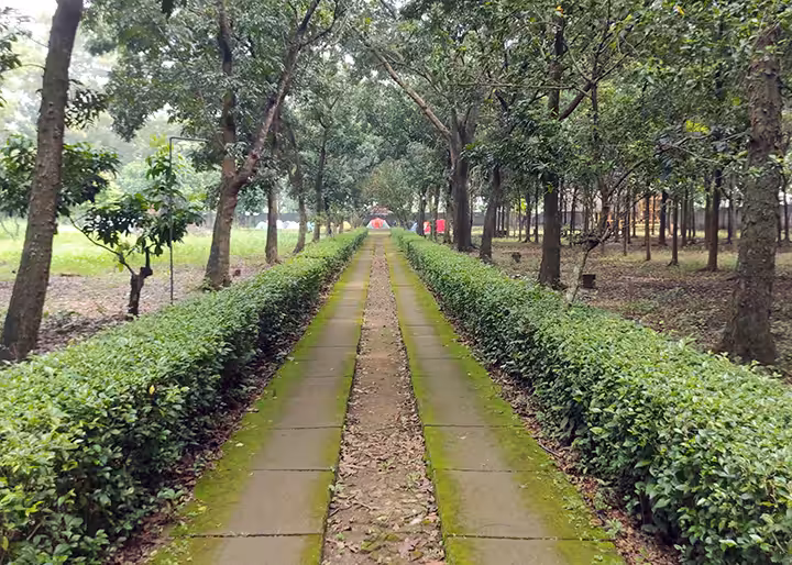 Camping Ground Kalam Kopen