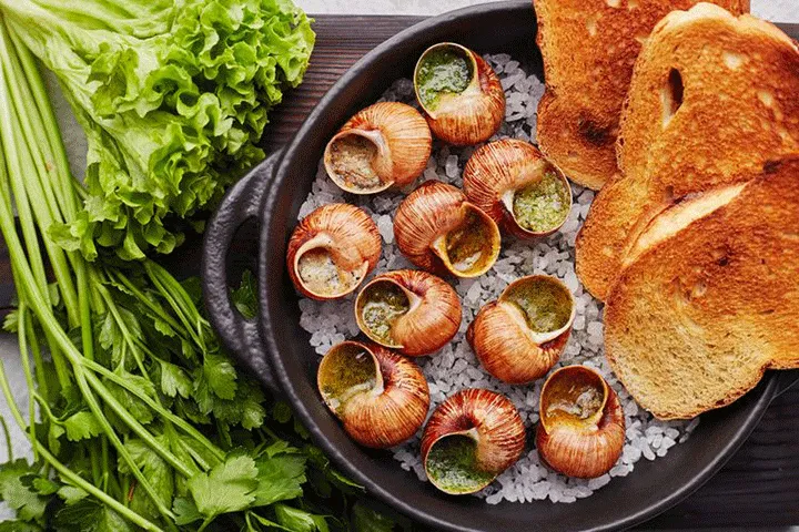 Escargot