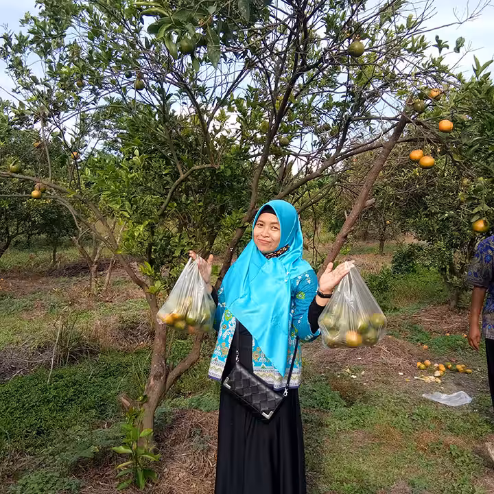 Kebun Jeruk dan Jambu Miracle Kurnia Farm