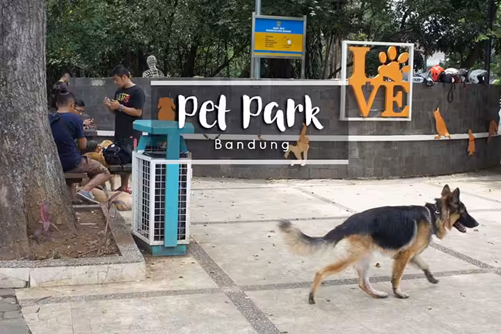 Pet Park