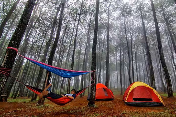camping ground Puncak Pinus Becici