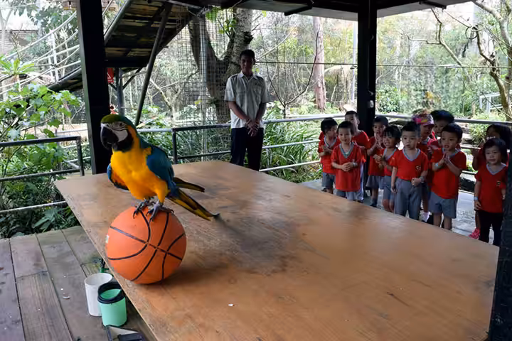 atraksi di Bird And Bromelia Pavilion Lembang