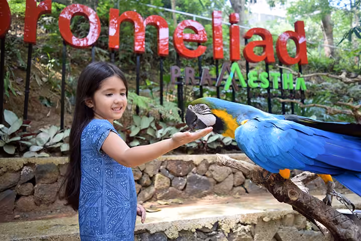 daya tarik wisata di Bird And Bromelia Pavilion Lembang