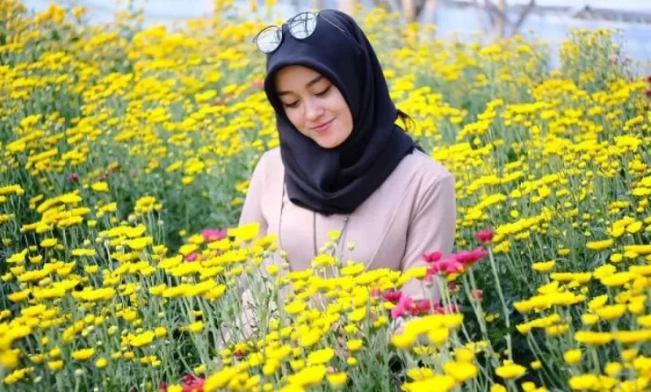 setiya aji flower farm