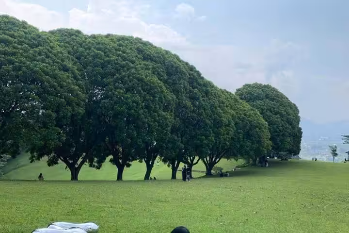 Lapangan Golf Ngamplang Garut